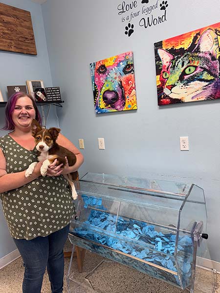 Dream Property Raffle - Support Tobacco Valley Animal Shelter