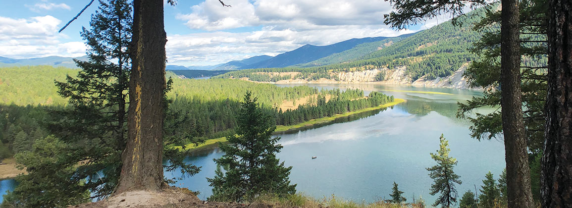 Thompson River Animal Care Shelter - Dream Property Raffle
