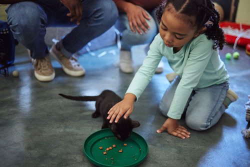 TRACS Animal Shelter Raffle - Purchase Tickets Now